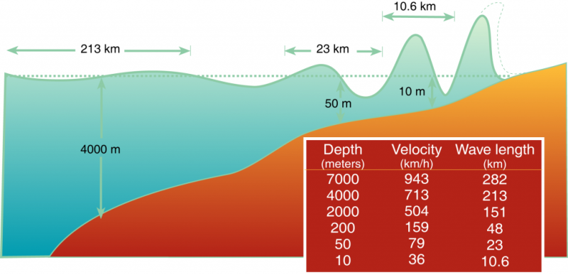Al acercarse a la costa, la longitud de onda del tsunami se acorta, y las olas ganan altura. Imagen: International Tsunami Information Center